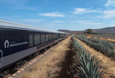 Tequila Herradura Express iniciara recorridos MILIMA20170327 0420 8