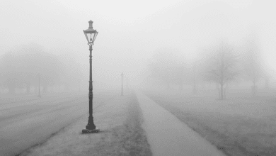 niebla