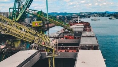 loading unloading bulk carrier grain japan ship.dcc622