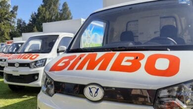 bimbo