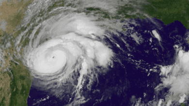 Captura de Pantalla 2021 08 19 a las 9.22.55 a.m.