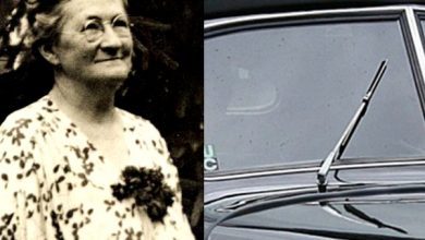 thumbnail limpiaparabrisas..