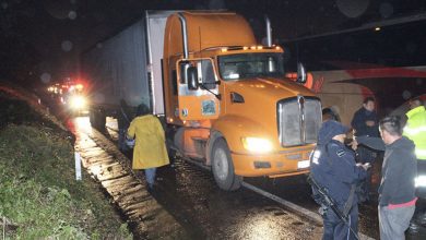 C5AFE8CD A1BB 4E69 A344 31B003872509