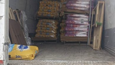 0DF931ED 39DA 4A08 82CA 2C40B633F71A