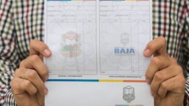 1A70B2D5 7EBF 4C98 87BE 2F659E2BCE99