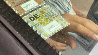 C31C4909 8962 4CB0 BDFD B9CB914EE012