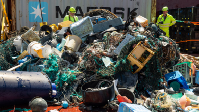 Así se limpian los mares y se convierte la basura en artículos reutilizados 31 Captura de Pantalla 2021 12 08 a las 9.28.43 a.m.
