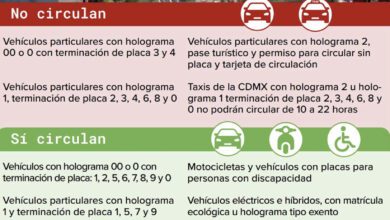 58E38676 F66B 41C1 9ADC 0A135931D841