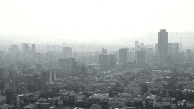 Captura de Pantalla 2022 05 20 a las 17.48.36