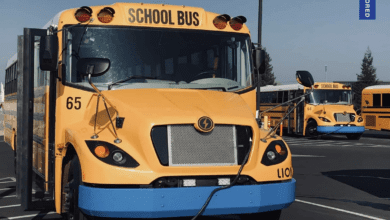 autobuses escolares