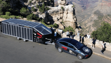 solar butterfly