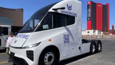 Windrose
