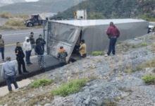 Captura de pantalla 2025 12 03 a las 10.18.18 a.m 1