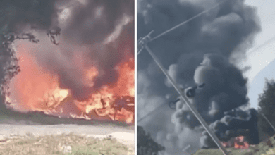 Captura de pantalla 2025 12 16 a las 4.11.21 p.m