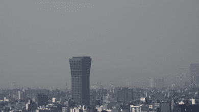 Captura de pantalla 2025 12 25 a las 1.16.28 p.m