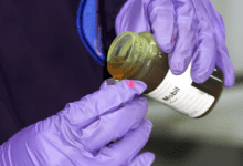 ExxonMobil anunció la llegada a México de Mobil Lubricant Analysis 2 Captura de pantalla 2026 01 22 a las 1.03.17 p.m