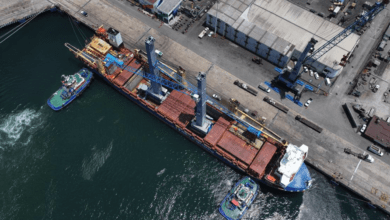 gruas manzanillo